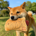 Thin＆Chewy  鯛魚燒露饀